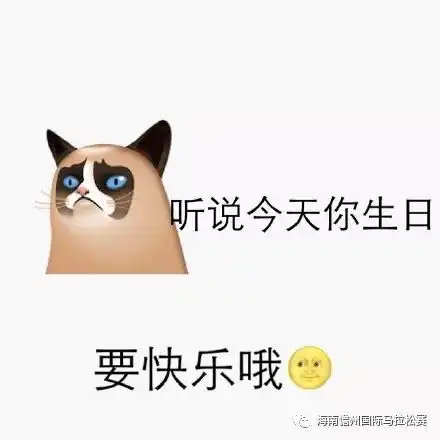 关于拒绝emo的表情包姓
