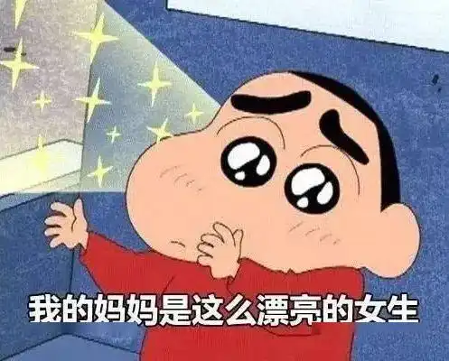 窃瓦拉格表情包阵雨