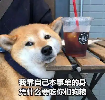 单身狗证表情包入冬