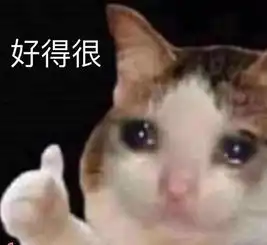  女生眉毛太淡是什么体验啊啊啊啊啊太真实了吧