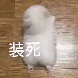  假期秘籍我有秘籍啥也不怕