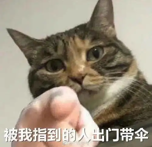  高温预警橙黄雨水马上就到明天天气