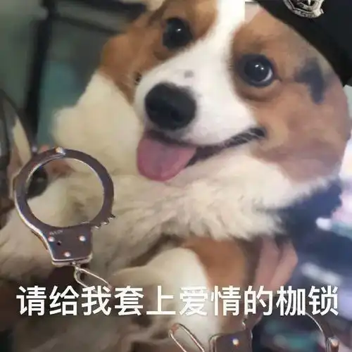  单身狗必备表情包美女只能孤芳自赏