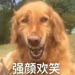 我法师贼强表情包金毛