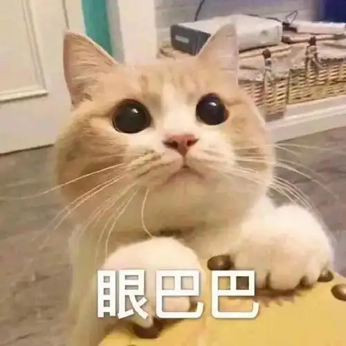  小仙女表情包用起来