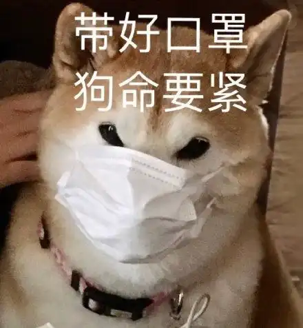 主人甲流卧床三天,醒来发现狗狗给自己办了场隆重的葬礼,全网夸孝子