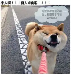  七夕福利千岛湖最火约会圣地居然是它