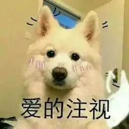  非常豹笑高清表情包下载非常豹笑了表情包下载无水印最新版西西软件下载