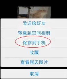  iphone怎么将qq表情的动态图转到微信表情
