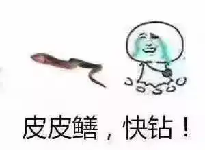  惊呆了,女主播竟直播与黄鳝