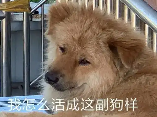  迷惑行为女子因一元秒杀到货的洗衣机,瞬间傻眼