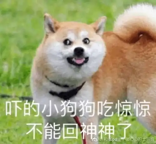  朋友圈有人晒豪车,还没开始羡慕,就发现了其中的套路网友差点上当...