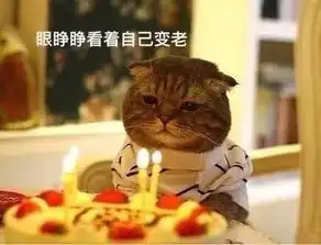  生日为什么要扔蛋糕哦