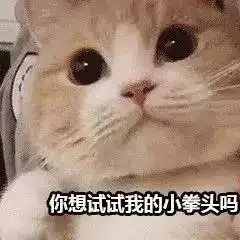  最近很火的40张猫咪表情包