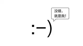  人类历史上第一个表情包原来是它