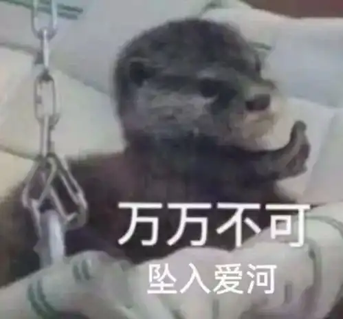  没有空中飞人,显卡永远不当人