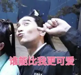  夜华表情包,小编笑抽了,原来你是这样的姑父