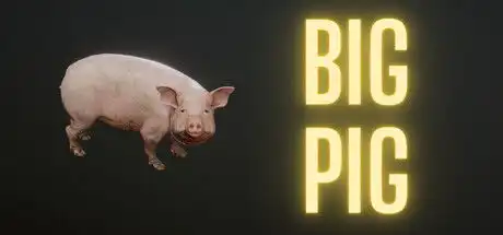  bigpig下载bigpig免安装绿色版v1.0下载