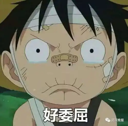  太委屈开车喷了这个被酒驾