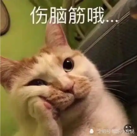  吃着小面包,看着新电影,肆无忌惮逛着街,肖战的假期过得很烟火气