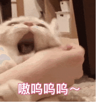  神装秀一身137装备的129高敏狼方人头收割停不住,看到她我就转头跑路