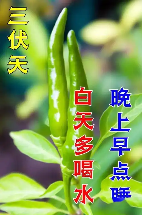  7月23日夏季早上好动态表情图片大全,天气炎热,注意防暑