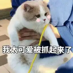  撩汉必备表情包我曾是混世魔王,申请做你的小熊软糖