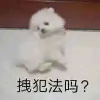  表情包狗狗萌宠沙雕系列