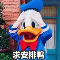  网上很火的鸭子表情包微信头像图片大全
