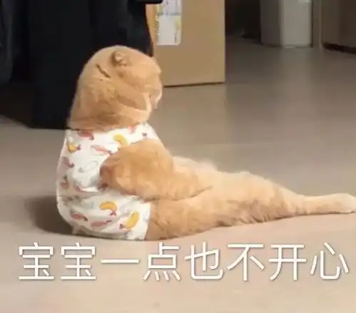  表情包宝宝一点也不开心