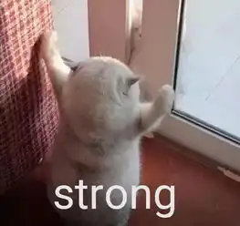 我要喝奶茶表情包脑壳