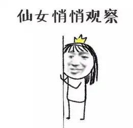 igtheshy表情包小东