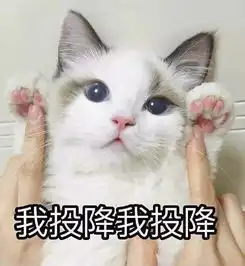  老娘100多入手的毛衣在闲鱼上卖4块钱她们还让我顺丰包邮zaker新闻