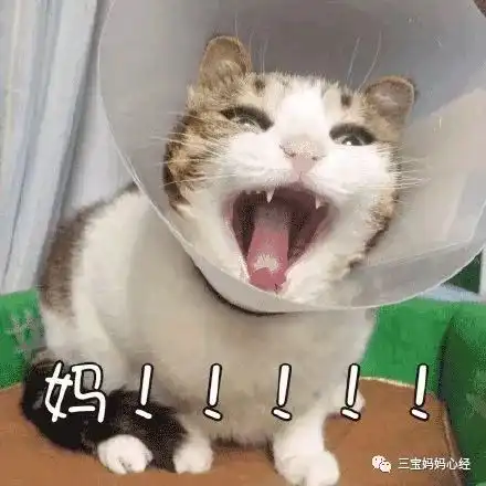 孩子这种生物,是没有睡眠这种本能么