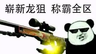csgo陀螺表情包开心笑话