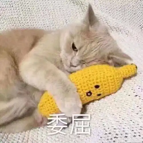  李涛,学别的国家的人说话是不是很不礼貌