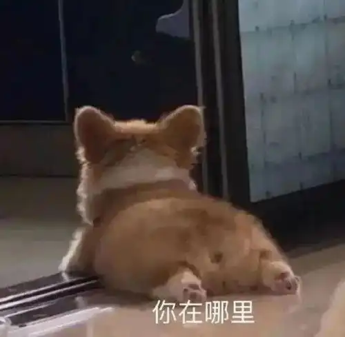  可爱沙雕表情包姐,我想得到你