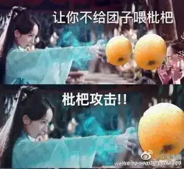  三生三世十里桃花,最服网友表情包