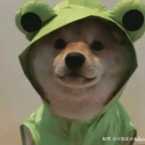  萌宠猫猫狗狗头像