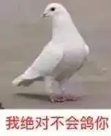  我绝对不会鸽你表情包图片完全是我的菜表情包下载乐游网游戏下载