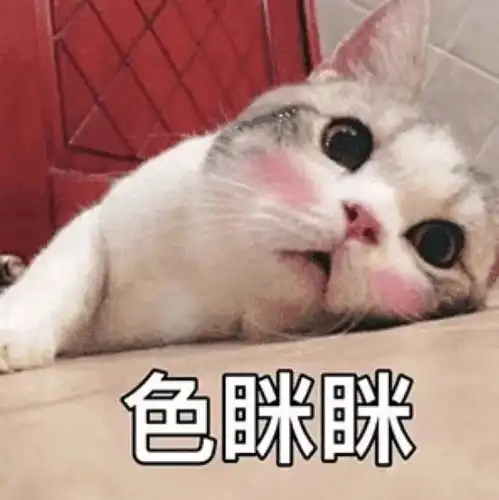 实力撩妹套路表情包猫咪