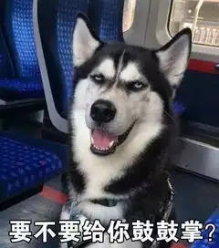  原来用智商换颜值的,除了二哈,还有这么多狗
