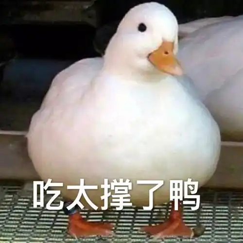  广西人过鬼节,为什么一定要吃鸭子