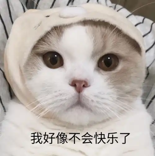  为什么要生孩子这个回答获得了5万人的点赞