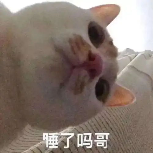  好久没更表情包噜啦啦