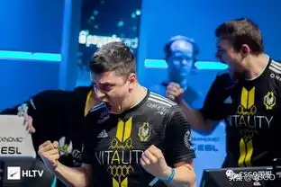  csgo赛场上行走的表情包电竞憨豆apex