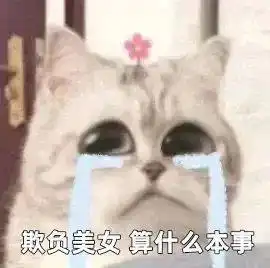  最近很火的小狗穿裙子,小猫头上带花表情包