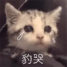  表情包哭泣动图gif系列