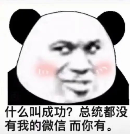  熊猫表情包你根本就不懂光