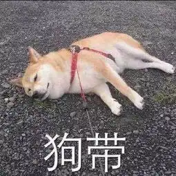  想流浪的鱼i的美拍